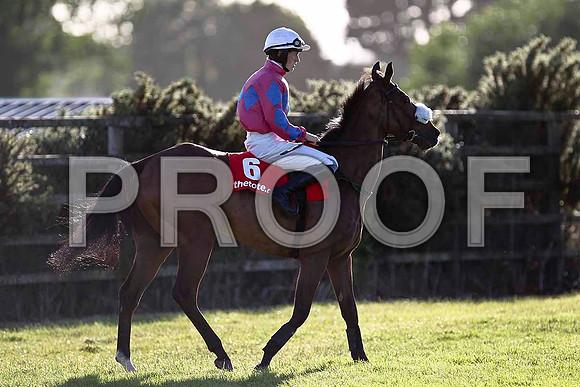 Flemross Fell, Jockey S Davies - FT8E1066-e