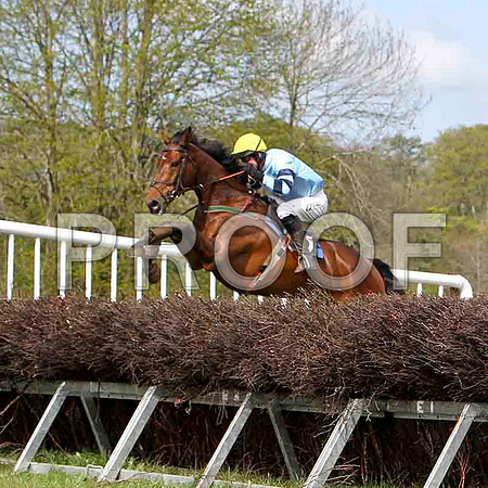 Bear Witness , Winner, Jockey - Derek O'Connor - FT8E2060-e