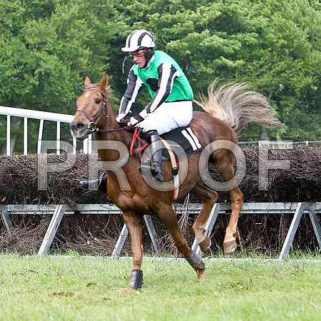Nik Libre - Unplaced, Jockey C McCartan - FT8E2508-e