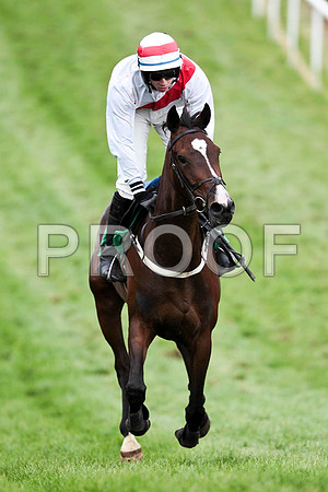 Fiery Flame - 10th , Jockey D J Bates - CU2D9492-e