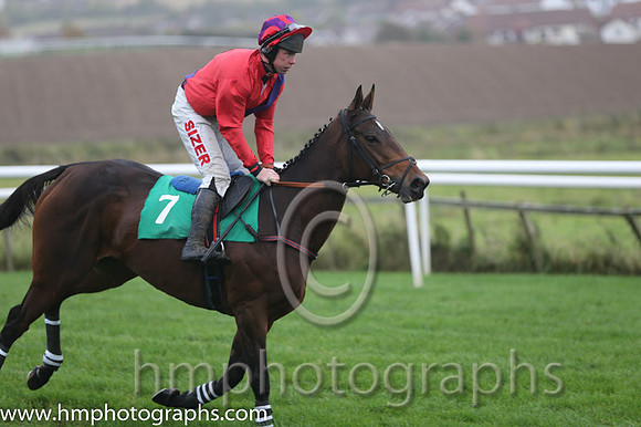 03 Old Castle Villa and A E Lynch - - 03rd (7 ,Red, purple sash ) Trainer - J P Ryan