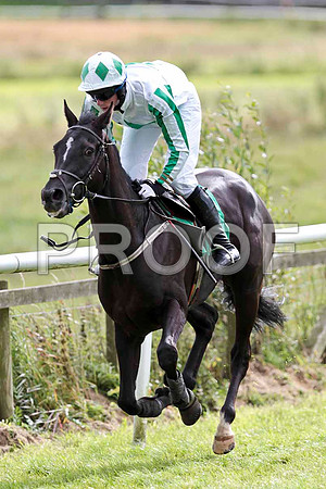 Blue Monster - 13th, Jockey P D Kennedy   -CU2D9452-e