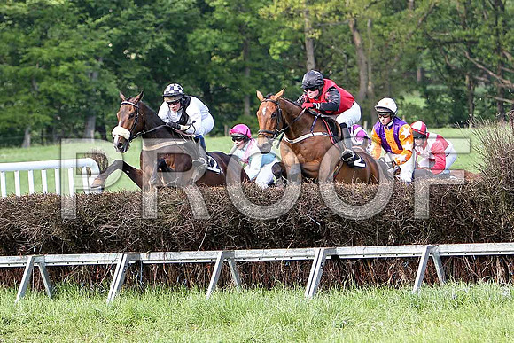 Race 6 Div 2 - Oldtown Road (22) PU, Rider J J Gault, Been a Long Time (2) 6th, Rider B F Brabazon, Gregg Boy (12) 2nd, Rider J Cresswell, Supitinye (27) 3rd, Rider P W Bartlett & Moneyba - CU2D9815-e