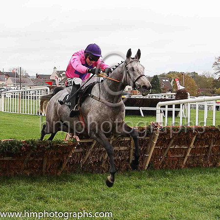 08th Macs Bach and P T Enright ( 3 , white, red spots ) Trainer - Ms M Flynn , Owner - Santry Power Walsh Syndicate
