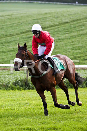 Gold Sensation , 2nd , Jockey A D leigh -  FT8E2883-e