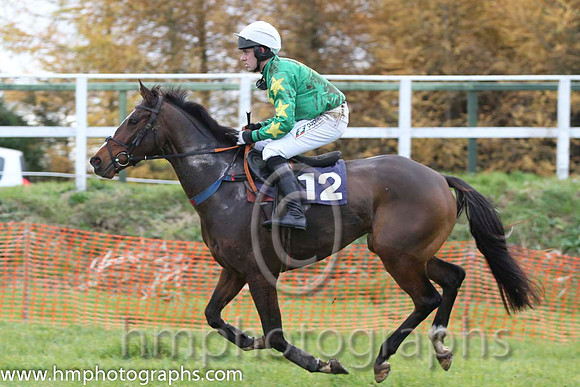 09 Ryansbrook & B O'Neill - Fell (12, emerald green, yellow star) - FT8E0895-7