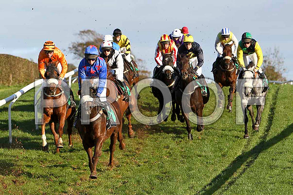 Ashfield Present leads the group , Jockey Mr P n O,Brien - PU - CU2D9365-e