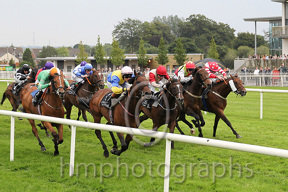 01st Knights Templar ( 1 , royal blue, yellow qtrd ) and G.P. Halpin (5) - Trainer : Patrick J.Flynn - Owner : S.P. Girvan