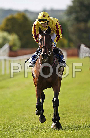Sarsfield Legend 2nd, Jockey W J Lee - FT8E1618-e