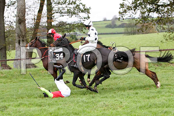 P N O'Brien Jockey of Boston Lord on the ground -FT8E5654-e2