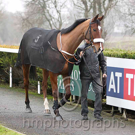 Like Your Style, Jockey R Loughran - PU - CU2D1932-e