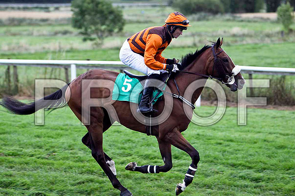Novarov - 9th, Jockey S G McDermott  - FT8E3928-e