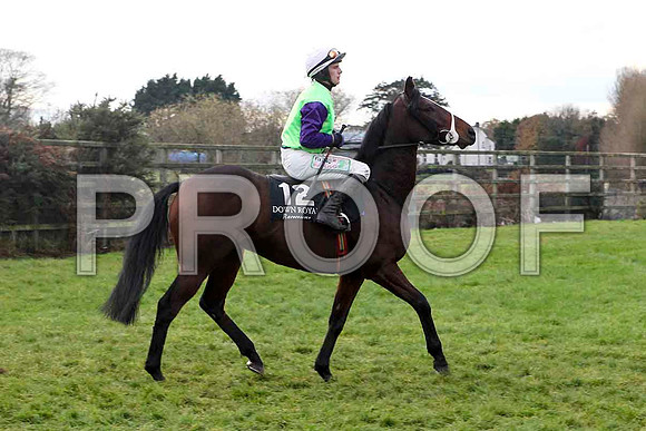 Strolling Home , Jockey P Townend - 5th -  - FT8E4865-e