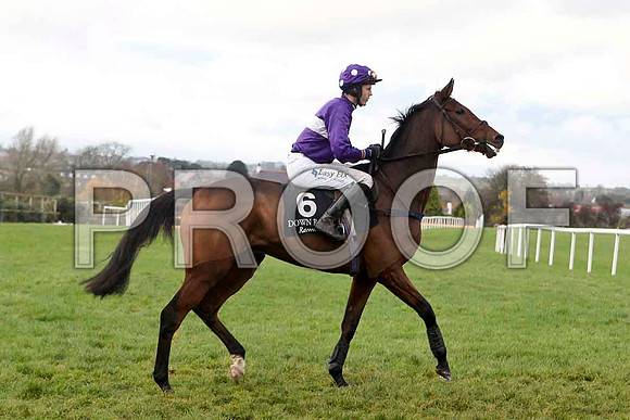 Sang Bleu , Jockey Andrew J McNamara - 8th- FT8E4868-e