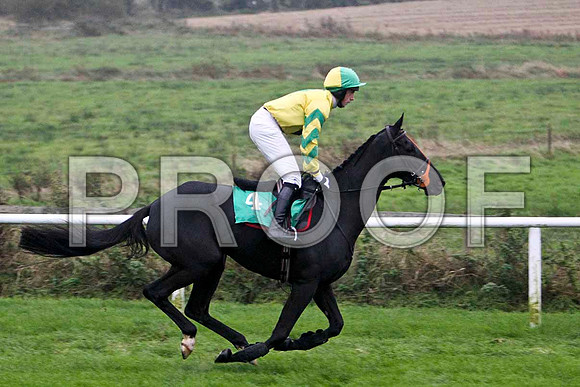 Hidden Profit , Fell - Jockey C D Maxwell - FT8E5444-e