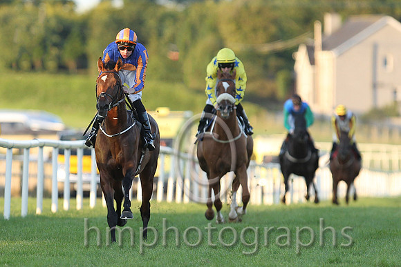 1st No 4 Order Of St George (IRE) (3) - Jockey: J P O'Brien - Trainer: A P O'Brien - Colours: royal blue, orange disc - CU2D0448-Edit