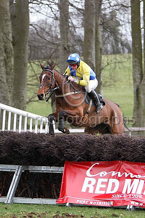 Sixth Race - Our Frank - CU2D7171-e