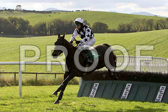 Croi Laidir , Jockey A P Thornton - U - CU2D9214-e