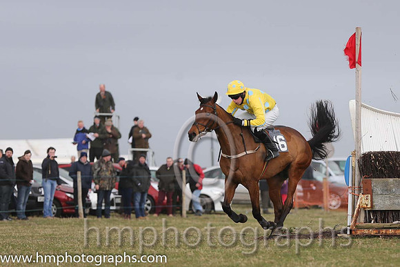 07th PU Super Scorpion ( 16 )  M J Lynch - Trainer: Mark L Fagan - yellow, black spots
