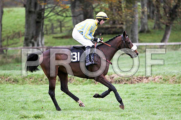 Joseph Mercer , Fell - Jockey J c Barry - FT8E5627-e