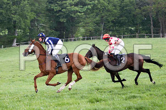 Tierna's Flight , 5th , Jockey J D Moore & Miss Katelyn , 2nd, Jockey D L Queally - FT8E2564-e