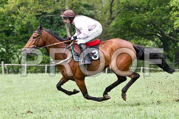 Aces or Better, 2nd, Jockey J J Codd - FT8E2482-e