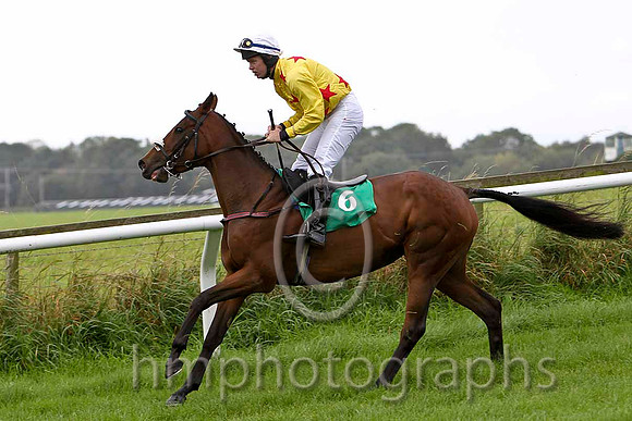 Brer Rabbit , Jockey S E Butler - Fell- CU2D2229-e
