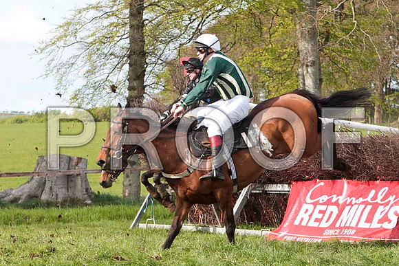 Hunters Frontier , 5th, Jockey F J Harford - CU2D4684-e