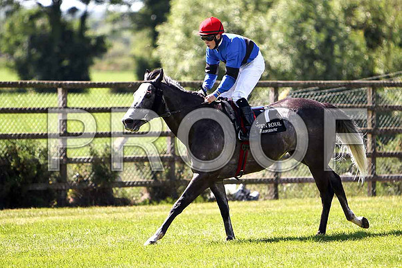 Patrickswell Winner, Jockey L F Roche- CU2D0218e