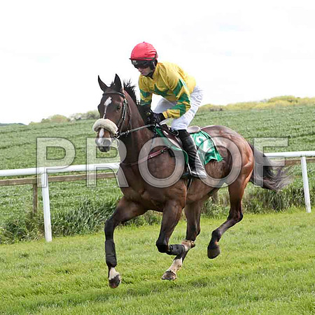 Diamond Fire , 13th, Jockey - S G McDermott - CU2D9232-e