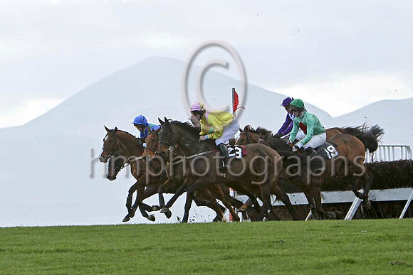 Lord Baltimore (23) & D J Foster - 7th  & Gee Enne Two (19) & P J Flood - 4th -FT8E9261-e