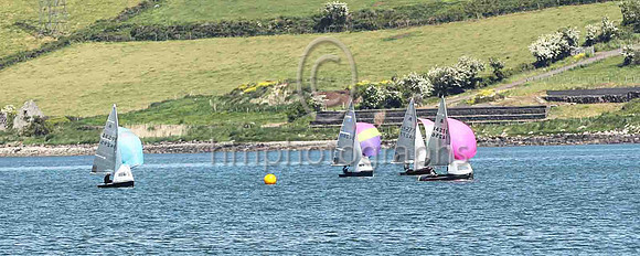 1st, Gold, 14256, Ger Owens & Melanie Morris, Wicklow SC & East Antrim BC - 1, 1, (2), 1, 1, 1 - Total = 7, Nett = 5