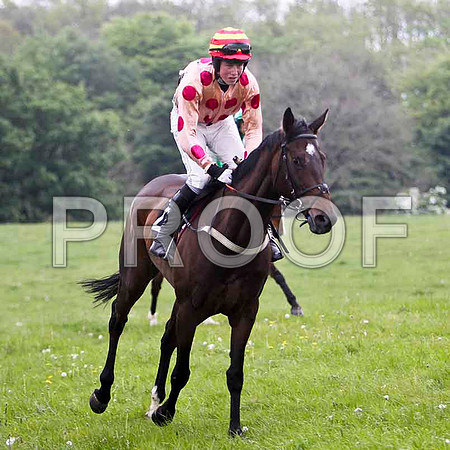 Miss Katelyn , 2nd, Jockey D L Queally - FT8E2554-e