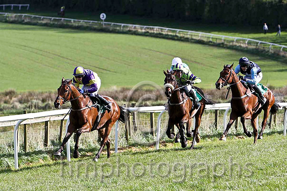 The Amarillo Kid & P Townend - Winner (3, purple and yellow quartered) - FT8E3203-e