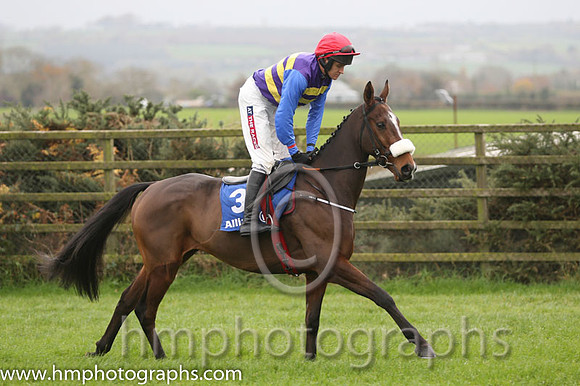 14 Tico and B J Geraghty - PU - 14th (3 ,purple and yellow hoops ) Trainer - G Elliott