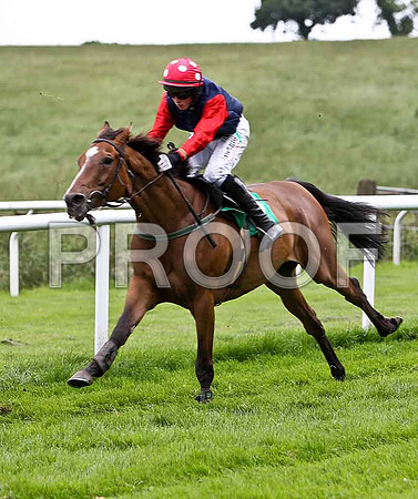 Promise Maker 5th, Jockey C O 'Farrell - CU2D0792-e