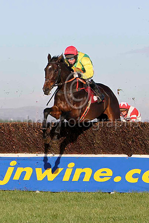 Sizing Europe , 2nd - Jockey A E Lynch - FT8E6990-e2