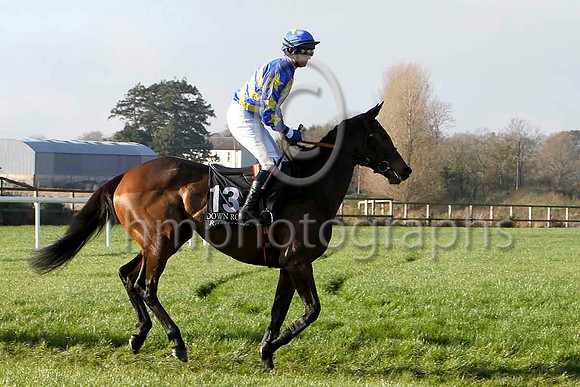 Clash Rebel - 2nd , Jockey P Townend - FT8E6857-e