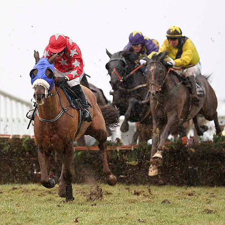 Quartetto 3rd , Jockey M Darcy - CU2D3233-e