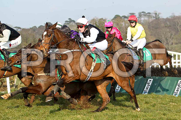 Kellytown Jack - Fell, Izand An Affair - 11th & Tawrific Laois - 5th -FT8E0480-e