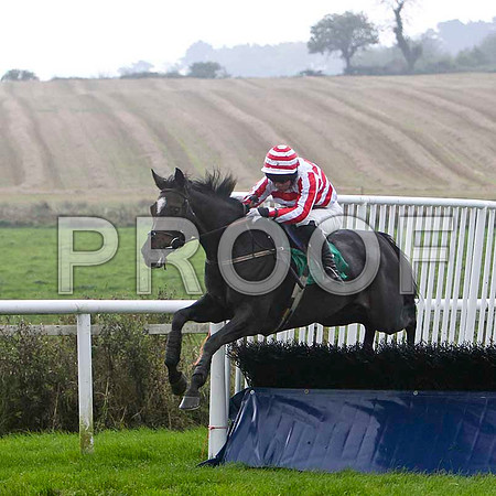 Charlie Swift 5th, Jockey R M Moran - FT8E5239-e