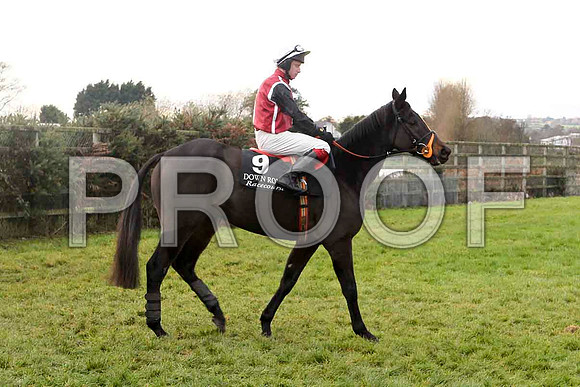 L'Acajou , Jockey P F Mangan - Fell  - FT8E4862-e