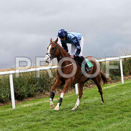 Blue Ridge Lane - 5th, Jockey M J Bolger  - IMG_9401-e
