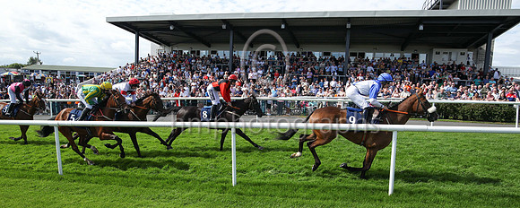 01st Typical Thomas (9 , blue, white diabolo ) Jockey: Peter Smithers7 , Trainer: James Andrew Fahey