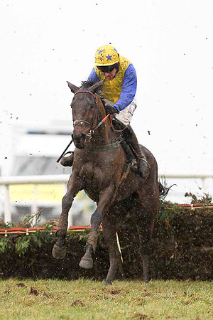 Ferry Point 12th, Jockey B Geraghty - CU2D3238-e2