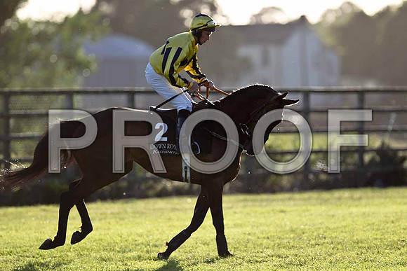 Battlehill 7th, Jockey M W Bowes - FT8E1081-e