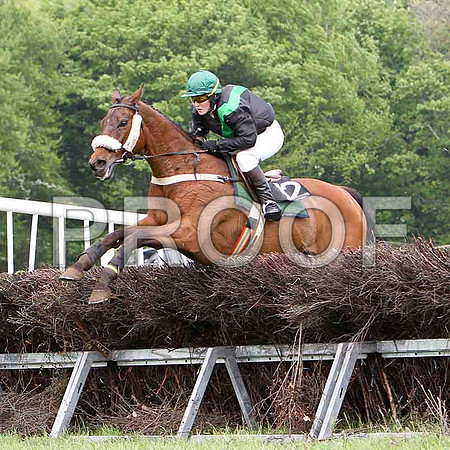 St Matthew, Unplaced, Jockey Ms C A Sloan - FT8E2550-e