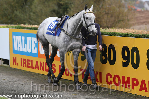 08 Nevada Rose and S J Crimin - - 08th (18 ,royal blue and yellow check ) Trainer - H Smith