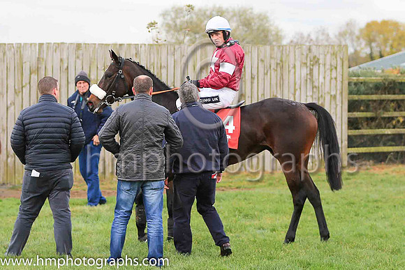 02nd Apple's Jade and R Walsh ( 4 , maroon, white star, white cap ) Trainer - G Elliott , Owner - Gigginstown House Stud