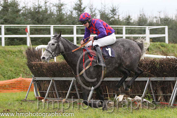 04 Ballybrack Dancer & D G Lavery - 4th (7, red and purple diamonds) - FT8E1099-63
